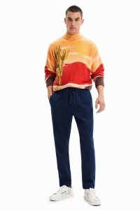 Desigual Drawstring joggers Miesten Housut | CPOTG7438