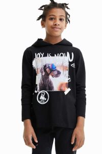 Desigual Hupullinen dog Poikien T Paidat | WEBLD5461
